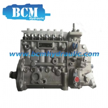 FUEL INJECTION PUMP 3973900 FOR 6CT8.3